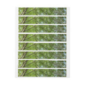 "Canopy of Spring Blätter Green Nature Scene (Bogen)