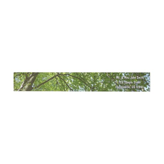 "Canopy of Spring Blätter Green Nature Scene (Person)