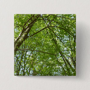"Canopy of Spring Blätter Green Nature Scene Button