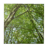"Canopy of Spring Blätter Green Nature Scene Fliese (Vorderseite)