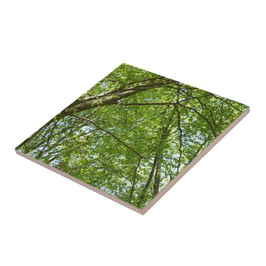 "Canopy of Spring Blätter Green Nature Scene Fliese (Seite)