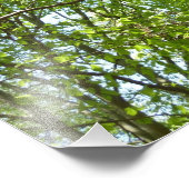 "Canopy of Spring Blätter Green Nature Scene Fotodruck (Ecke)