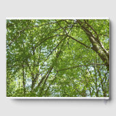 "Canopy of Spring Blätter Green Nature Scene Gästebuch (Rückseite)