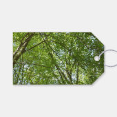 "Canopy of Spring Blätter Green Nature Scene Geschenkanhänger (Vorderseite (Horizontal))