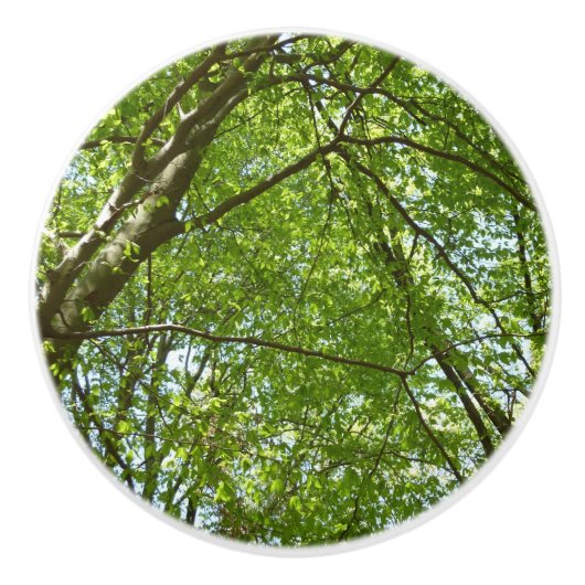 "Canopy of Spring Blätter Green Nature Scene Keramikknauf (Vorderseite)