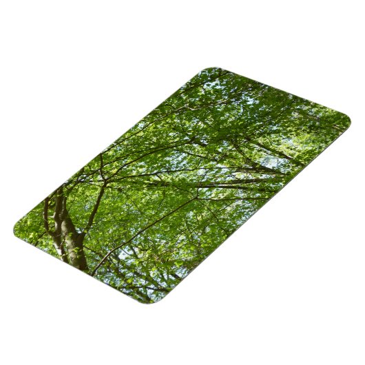 "Canopy of Spring Blätter Green Nature Scene Magnet (Linke Seite)