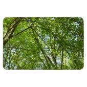 "Canopy of Spring Blätter Green Nature Scene Magnet (Horizontal)