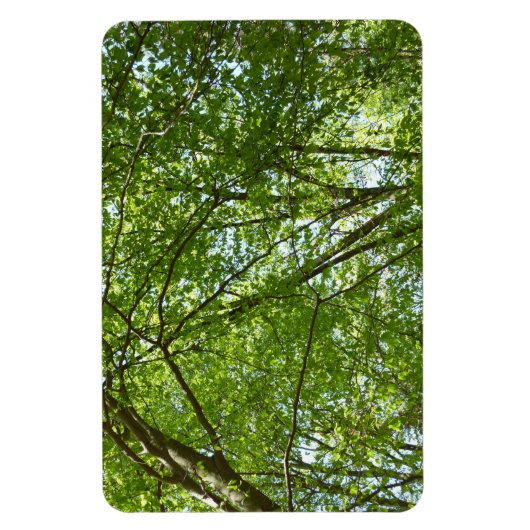 "Canopy of Spring Blätter Green Nature Scene Magnet (Vertikal)