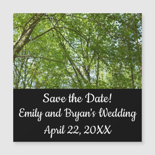 "Canopy of Spring Blätter Green Nature Scene Magnetkarte (Vorderseite)