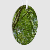 "Canopy of Spring Blätter Green Nature Scene Ornament (Vorderseite)