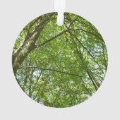 "Canopy of Spring Blätter Green Nature Scene Ornament (Rückseite)