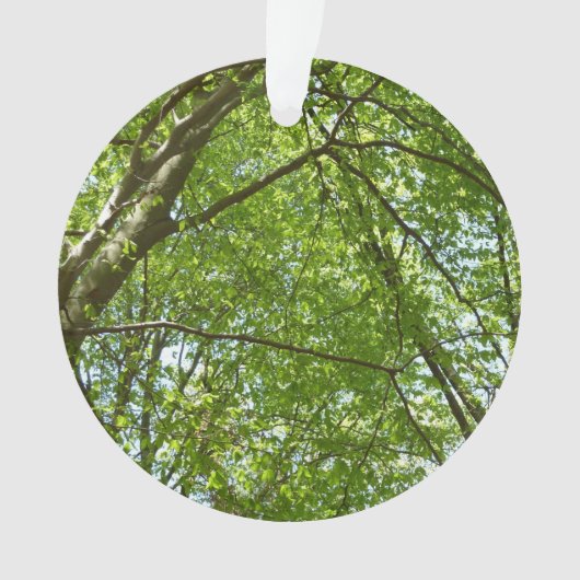 "Canopy of Spring Blätter Green Nature Scene Ornament (Vorderseite)