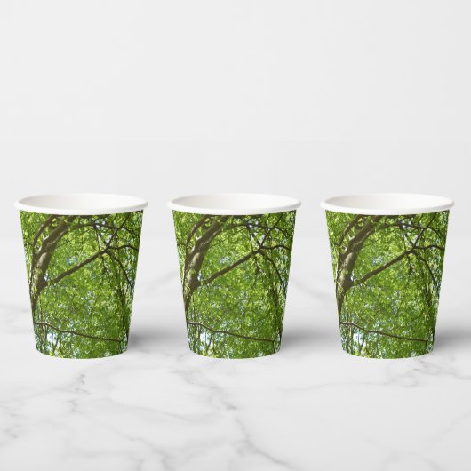 "Canopy of Spring Blätter Green Nature Scene Pappbecher (Multi)