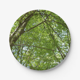 "Canopy of Spring Blätter Green Nature Scene Pappteller