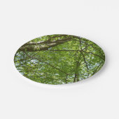 "Canopy of Spring Blätter Green Nature Scene Pappteller (Schrägansicht)