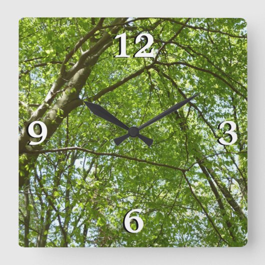 "Canopy of Spring Blätter Green Nature Scene Quadratische Wanduhr (Vorderseite)