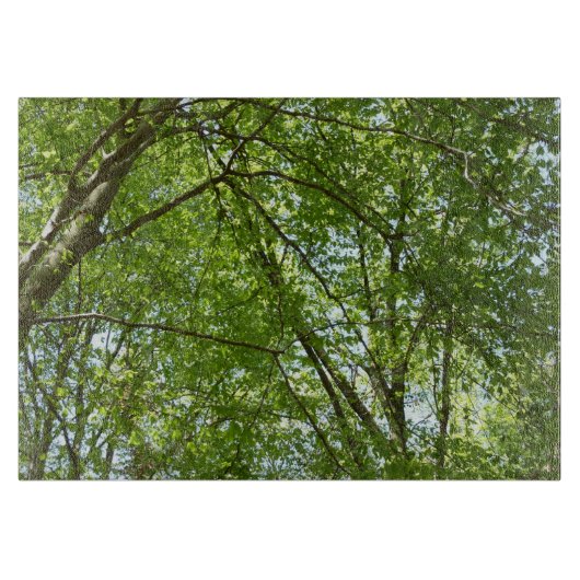 "Canopy of Spring Blätter Green Nature Scene Schneidebrett (Vorderseite)
