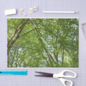 "Canopy of Spring Blätter Green Nature Scene Seidenpapier (Handwerk)