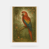 Canopy Sentinel - Die Scarlet Macaw Acrylschild (Vorderseite)