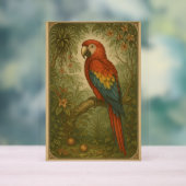 Canopy Sentinel - Die Scarlet Macaw Acrylschild (Neutral)