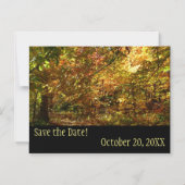 Canopy von Herbstlauben Save the Date Magneteinladung (Vorderseite)