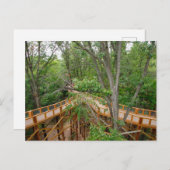 Canopy Walk, Blacklick Woods Metro Park, Ohio Postkarte (Vorne/Hinten)