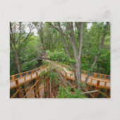 Canopy Walk, Blacklick Woods Metro Park, Ohio Postkarte (Vorderseite)