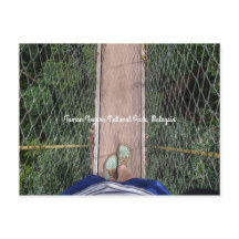 Canopy Walkway Taman Negara Nationalpark Malaysia