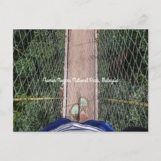 Canopy Walkway Taman Negara Nationalpark Malaysia Postkarte (Vorderseite)
