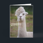 CAN'T BELIEVE YOU ARE CELEBRATING "21st" BIRTHDAY Karte<br><div class="desc">HORSE JUST CANNOT BELIEVE THAT HIS FRIEND OR FAMILY MEMBER IS ALL READY TO CELEBRATE "21st BIRTHDAY" STORES! REMEMBER YOU CAN CHANGE THE AGE AND VERSES IN AND OUT IF YOU WISH IN SECOND!</div>