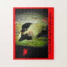 Cant hide - Valenpuzzle