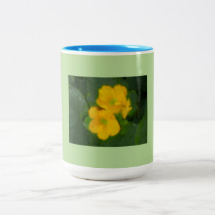 Cantaloupe Blooms Zweifarbige Tasse