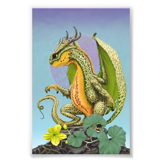 Cantaloupe Dragon 4x6 Print Fotodruck (Vorne)