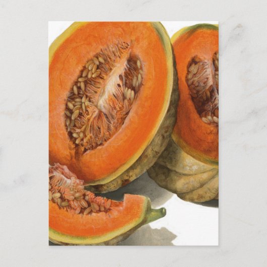 Cantaloupe melon Illustration Postkarte (Vorderseite)