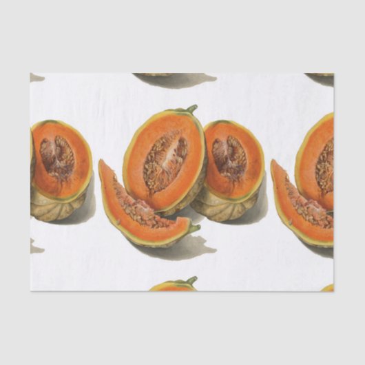 Cantaloupe melon Illustration Seidenpapier (Vorderseite)