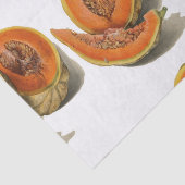 Cantaloupe melon Illustration Seidenpapier (Ausschnitt)
