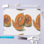 Cantaloupe melon Illustration Seidenpapier (Handwerk)