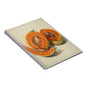 Cantaloupe melon Illustrationsbuch Notizblock (Rechte Seite)