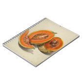 Cantaloupe melon Illustrationsbuch Notizblock (Linke Seite)