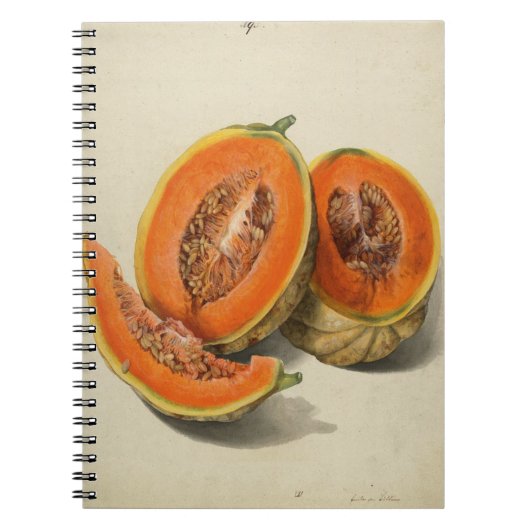Cantaloupe melon Illustrationsbuch Notizblock (Vorderseite)