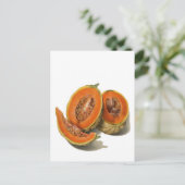Cantaloupe melon Illustrationskarte Postkarte (Stehend Vorderseite)