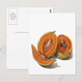 Cantaloupe melon Illustrationskarte Postkarte (Vorne/Hinten)