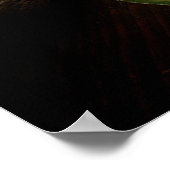 Cantaloupe Print Poster (Ecke)