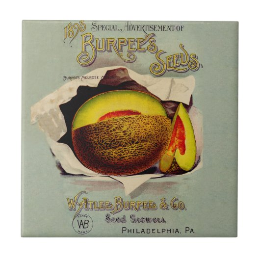 Cantaloupe Seed Advertising Art Antique Fliese (Vorderseite)