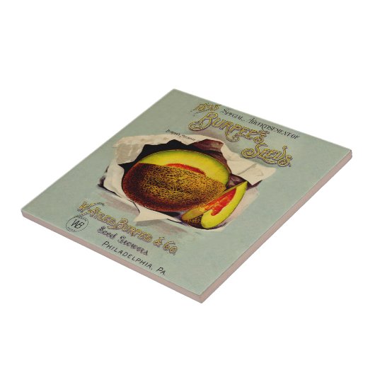Cantaloupe Seed Advertising Art Antique Fliese (Seite)
