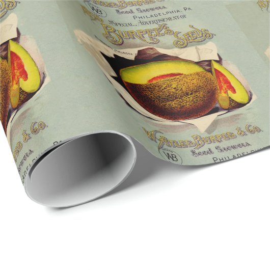 Cantaloupe Seed Advertising Art Antique Geschenkpapier (Rolleneckpunkt)