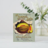 Cantaloupe Seed Advertising Art Antique Postkarte (Stehend Vorderseite)