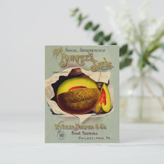 Cantaloupe Seed Advertising Art Antique Postkarte (Stehend Vorderseite)