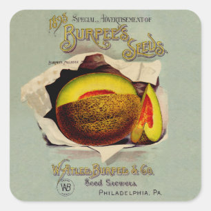 Cantaloupe Seed Advertising Art Antique Quadratischer Aufkleber