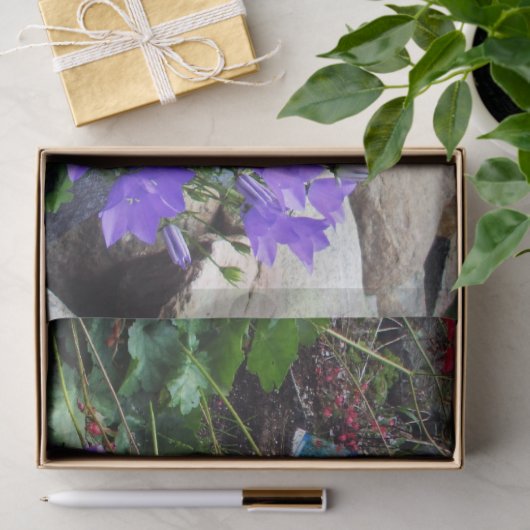 Canterbury-Glocken Seidenpapier (Geschenk)